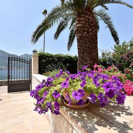 Maniva Penthouse By The Sea Kotor Exterior foto