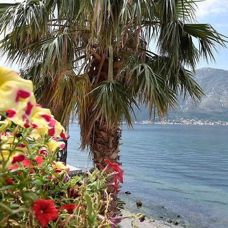 Maniva Penthouse By The Sea Kotor Exterior foto